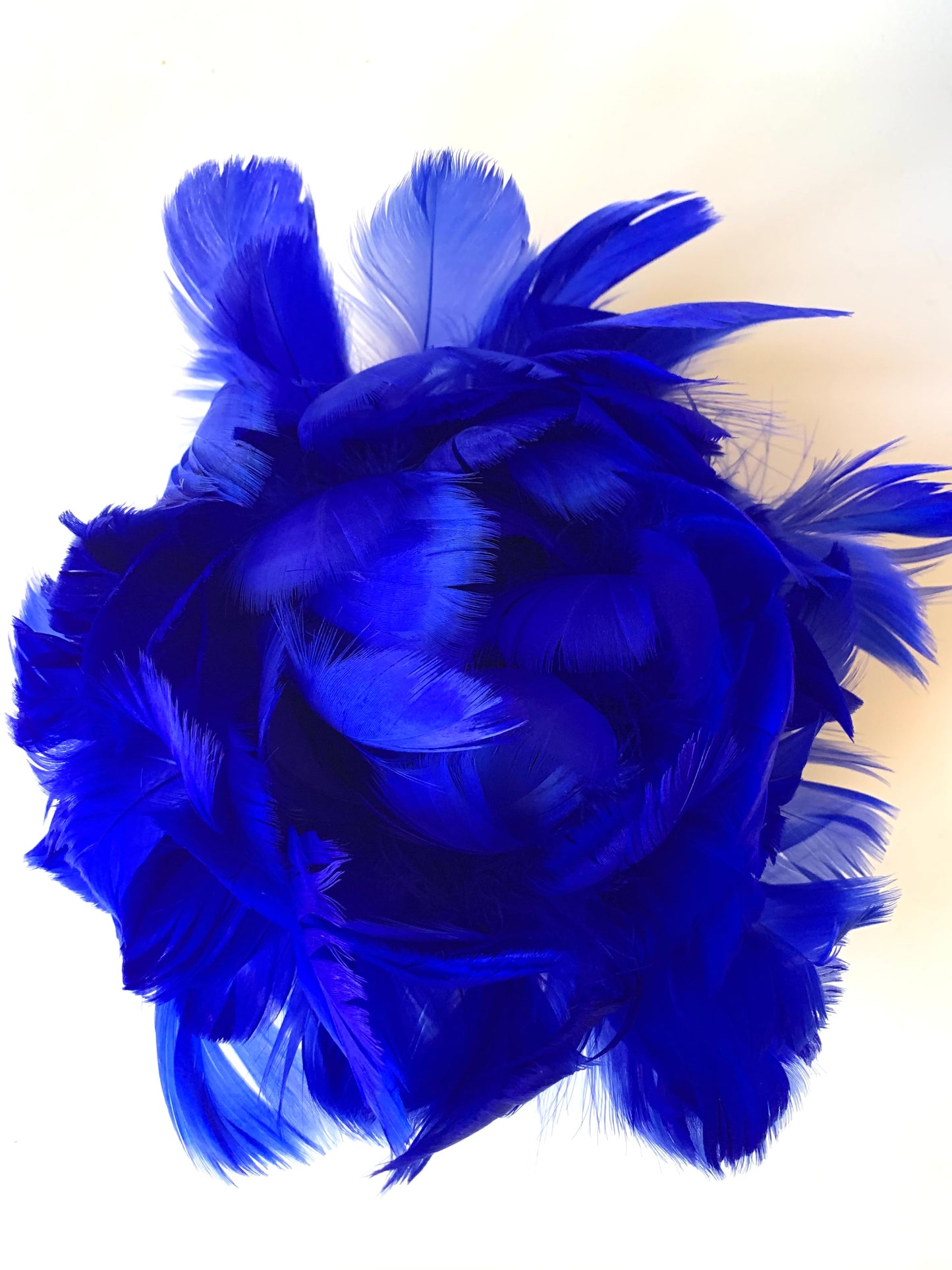 Feather Peony | Blue Royal