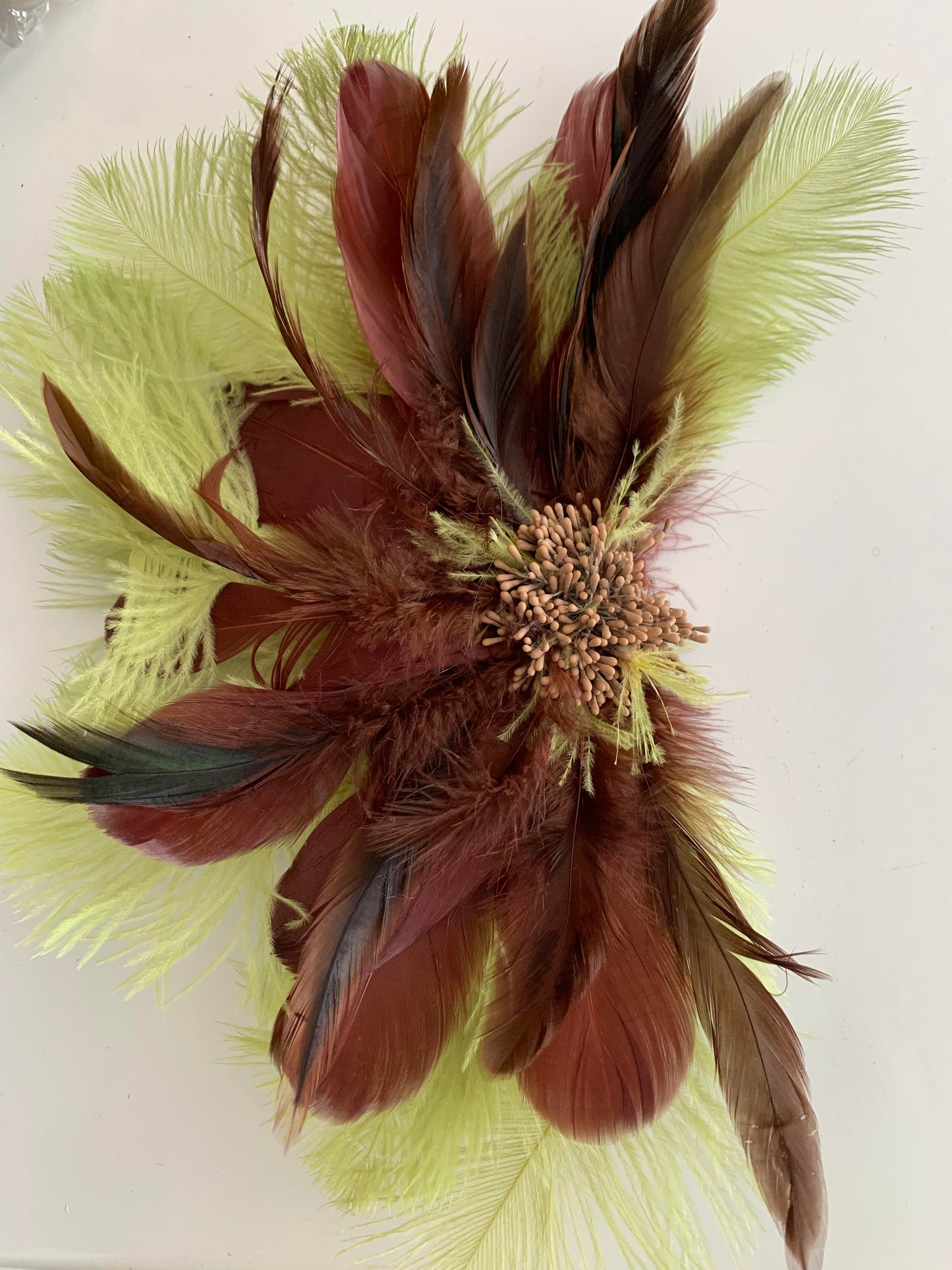 Signature Feather | Brown- Lime