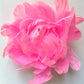 Feather Peony | Rose Indien