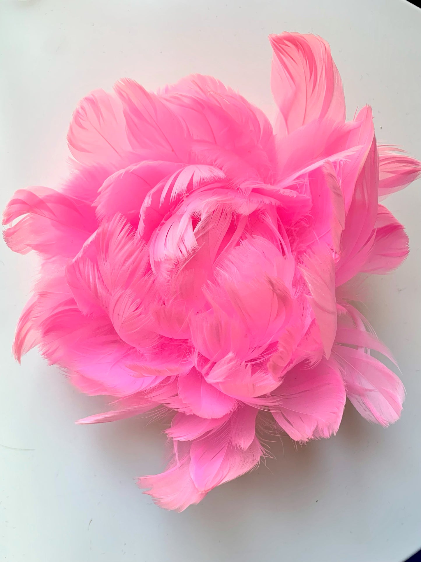 Feather Peony | Rose Indien