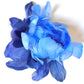 Feather Peony | Feather Blue-Light Blue