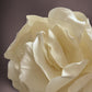 Brooch | Satin Ivory Large